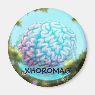 Xhoromag 12 magnet