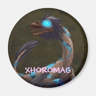 Xhoromag 19 magnet