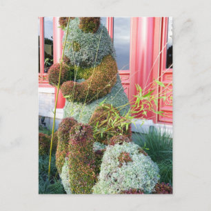 Xiong Mao Postcard