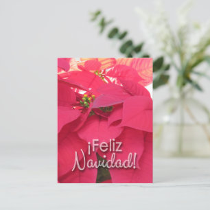 Xmas 001 Postcard - Spanish - Postcard