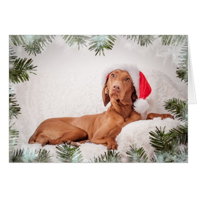Xmas Card / Christmas Card "Magyar Vizsla" (Front Horizontal)