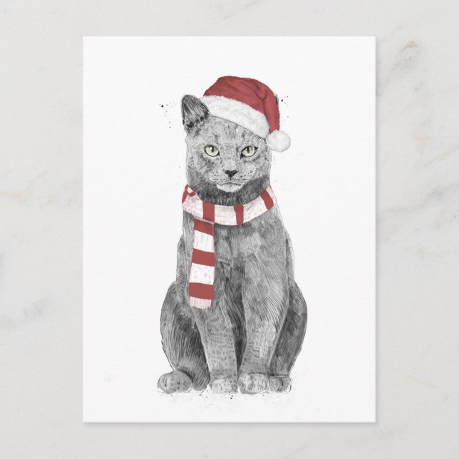 Xmas cat postcard (Front)