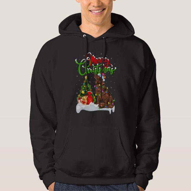 Xmas Decorations Santa Newfoundland Dog Christmas Hoodie (Front)