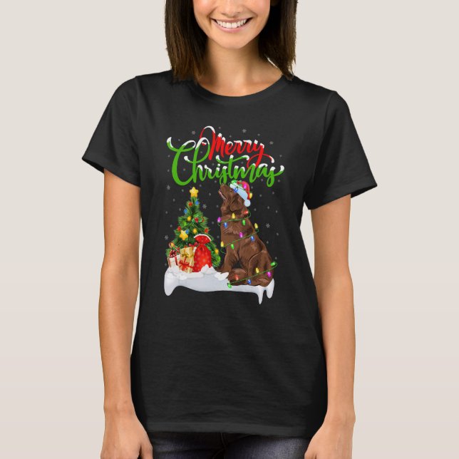 Xmas Decorations Santa Newfoundland Dog Christmas T-Shirt (Front)