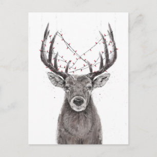Xmas deer postcard
