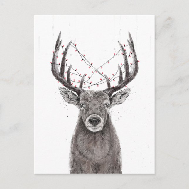 Xmas deer postcard (Front)