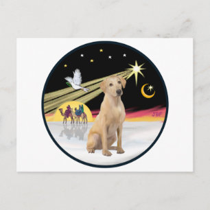 Xmas Dove (R) - Yellow Lab (F) Holiday Postcard
