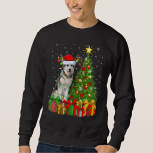 Xmas Holiday Lights Santa Alaskan Malamute Dog Chr Sweatshirt