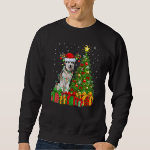 Xmas Holiday Lights Santa Alaskan Malamute Dog Chr Sweatshirt