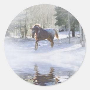 Xmas Horse Stickers! Classic Round Sticker