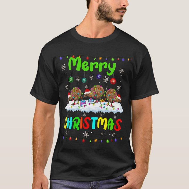 Xmas Kiwi Bird Lighting Santa Hat Merry Christmas  T-Shirt (Front)
