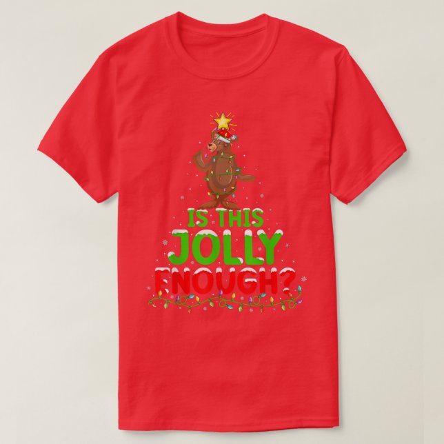Xmas Lighting Is This Jolly Enough Sea Lion Christ T-Shirt (Design Front)