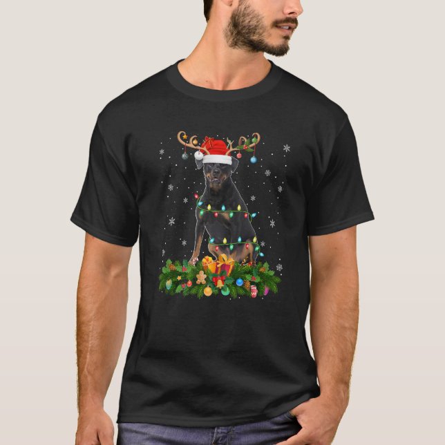 Xmas Lighting Reindeer Santa Hat Rottweiler Dog Ch T-Shirt (Front)