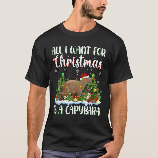 Xmas Lighting Santa All I Want For Christmas Is A  T-Shirt (Front)