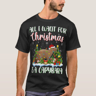 Xmas Lighting Santa All I Want For Christmas Is A T-Shirt