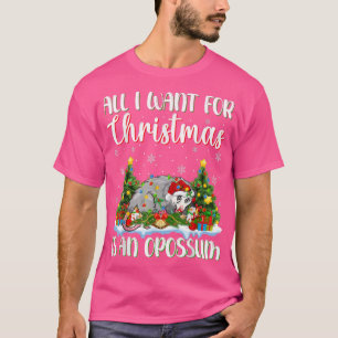 Xmas Lighting Santa All I Want For Christmas Is A T-Shirt
