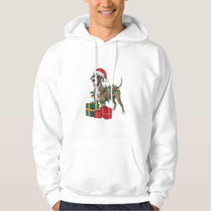 Xmas Lighting Santa Hat Great Dane Dog Christmas _ Hoodie