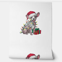 Xmas Lighting Santa Hat Mexican Hairless Dogs Chri