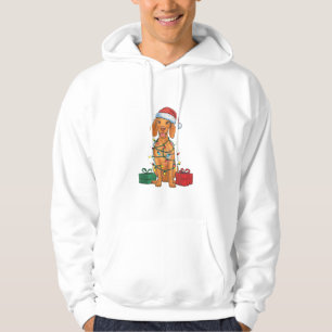 Xmas Lighting Santa Hat Pomeranian Dog Christmas Hoodie