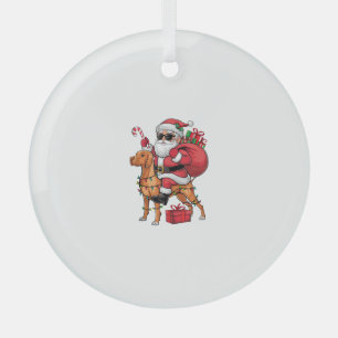 Xmas Lighting Santa Riding Vizsla Dog Christmas  Glass Tree Decoration
