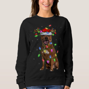 Xmas Lighting Santa Staffordshire Bull Terrier Dog Sweatshirt