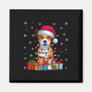Xmas Lights American Staffordshire Terrier Dog Chr Magnet