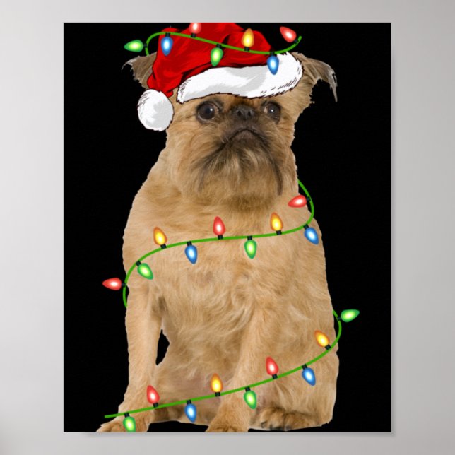 Xmas Lights Santa Hat Brussels Griffon Dog Christm Poster (Front)