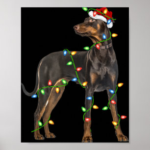 Xmas Lights Santa Hat Doberman Nscher Dog Christ Poster