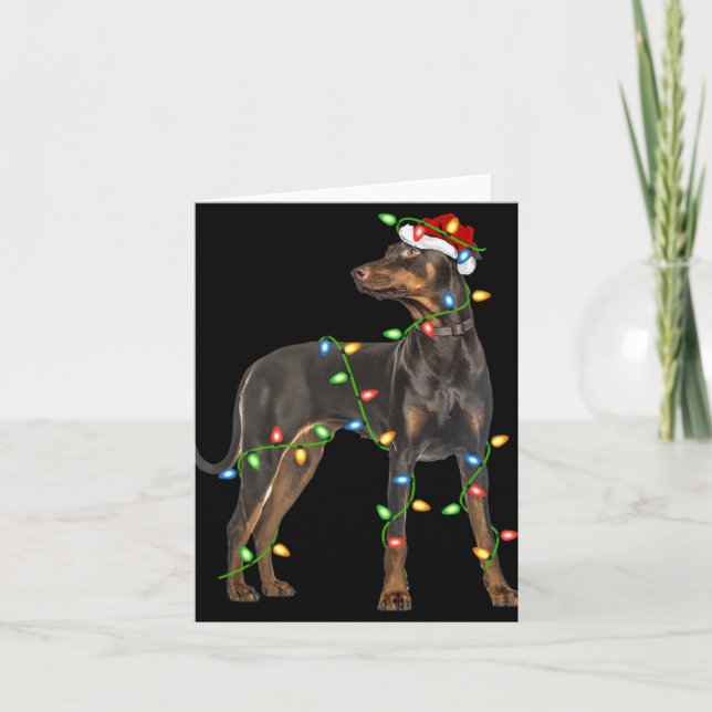 Xmas Lights Santa Hat Doberman Nscher Dog Christ T Card (Front)
