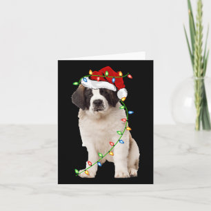 Xmas Lights Santa Hat Saint Bernard Dog Christmas Card