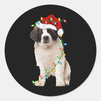 Xmas Lights Santa Hat Saint Bernard Dog Christmas  Classic Round Sticker