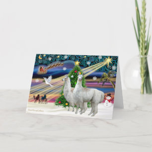 Xmas Magic - 2 Llamas Holiday Card