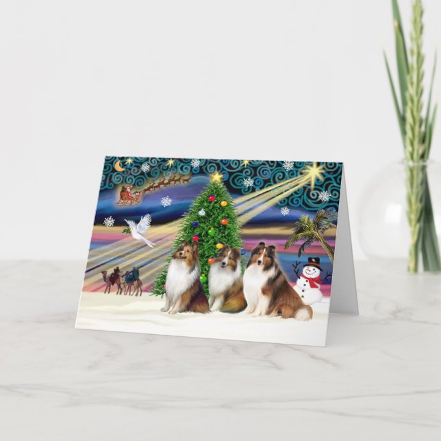 Xmas Magic-3Shelties 3Sable-Wht Holiday Card (Front)
