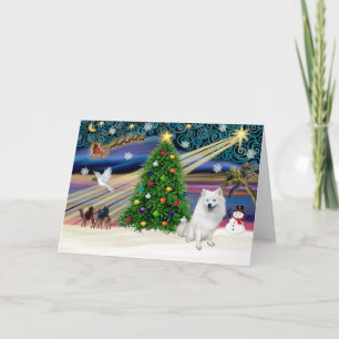 Xmas Magic-American Eskimo Dog Holiday Card