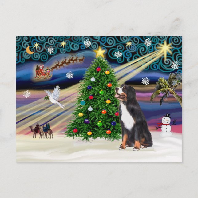 Xmas Magic-Bernese Mountain Dog Holiday Postcard (Front)