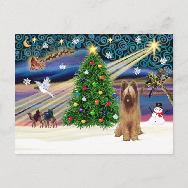 Xmas Magic-Briard-Fawn Holiday Postcard (Front)