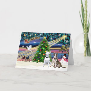 Xmas Magic-Bull Terrier Pair Holiday Card