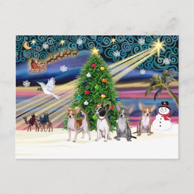 Xmas Magic-Chihuahuas (four) Holiday Postcard (Front)
