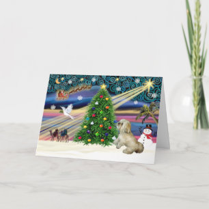 Xmas Magic-Lhasa-Roxy Holiday Card
