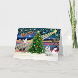 Xmas Magic-Maltese-cutie Holiday Card