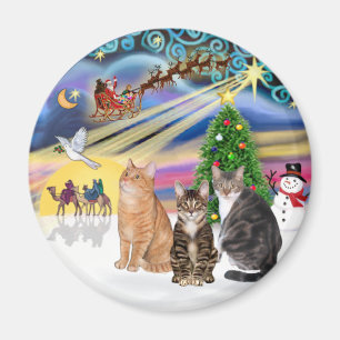 Xmas Magic (R) - Three cats (AmSH) Magnet