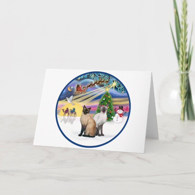 Xmas Magic (R) - Two Siamese cats Holiday Card (Front)
