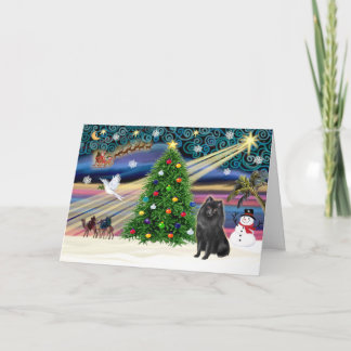 Xmas Magic-Schipperke Holiday Card