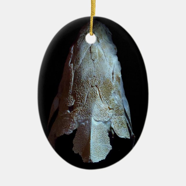 >XMAS ORNAMENT -STURGEON FISH -SKULL/HEAD (Front)