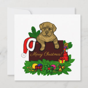 XMas Puppy Holiday Card