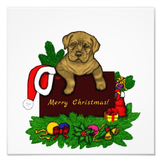 XMas Puppy Photo Print (Front)