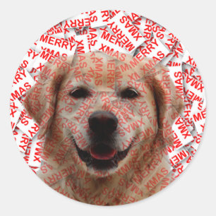 Xmas Smiling Golden Retriever Dog Classic Round Sticker
