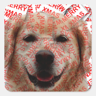 Xmas Smiling Golden Retriever Dog Square Sticker