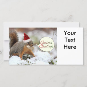 Xmas Squirrel in Snow Holiday Card