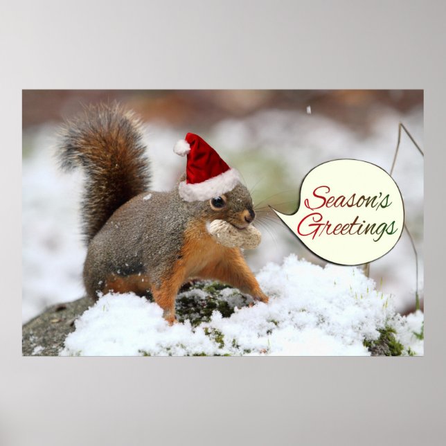 Xmas Squirrel in Snow Poster (Front)